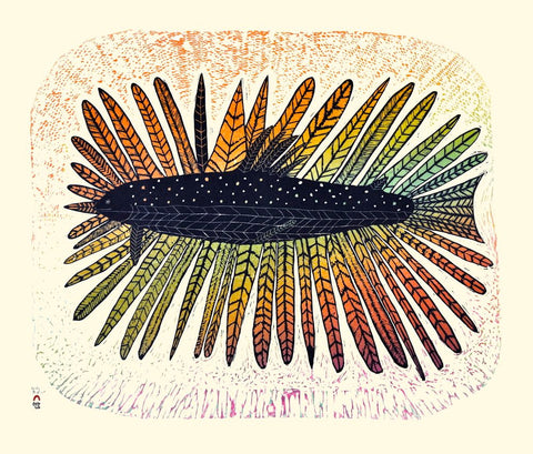 2016 IQALUK SULUKVAUTILIK (FISH WITH FEATHERS) by Kakulu Saggiaktok