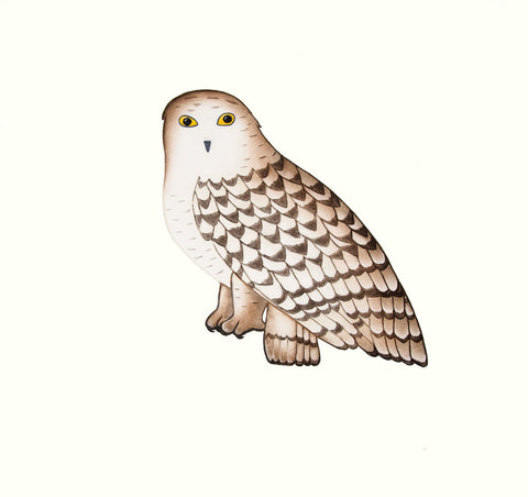 2018 Noble Owl by PAUOJOUNGIE SAGGIAK