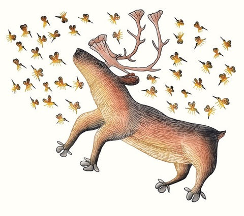 2017 SUMMER BUZZ by Cee Pootoogook
