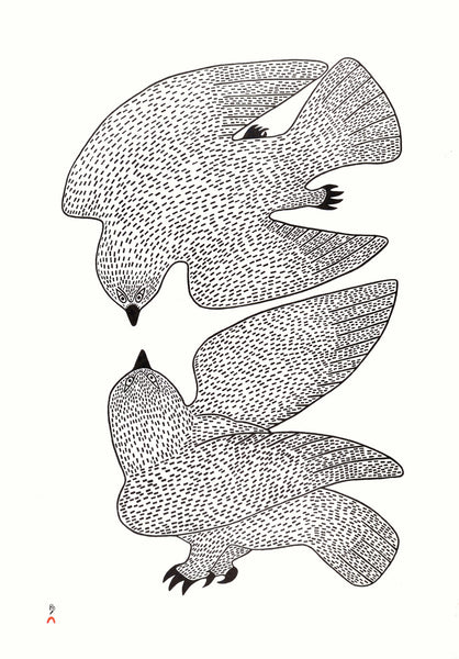 Sparing Owls by Quvianaqtuk Pudlat