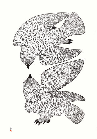 Sparing Owls by Quvianaqtuk Pudlat