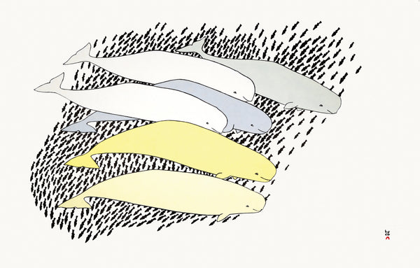 Qilalugaq (Beluga) (2017) by the late Tim Pitsiulak (1967-2016)
